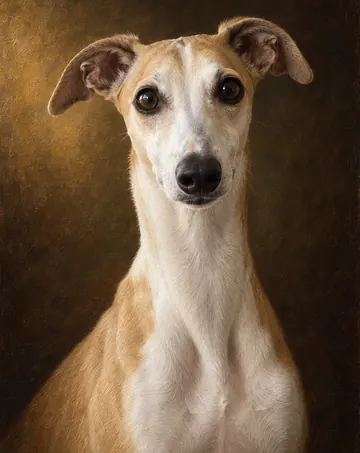 The Old Master pet portrait example